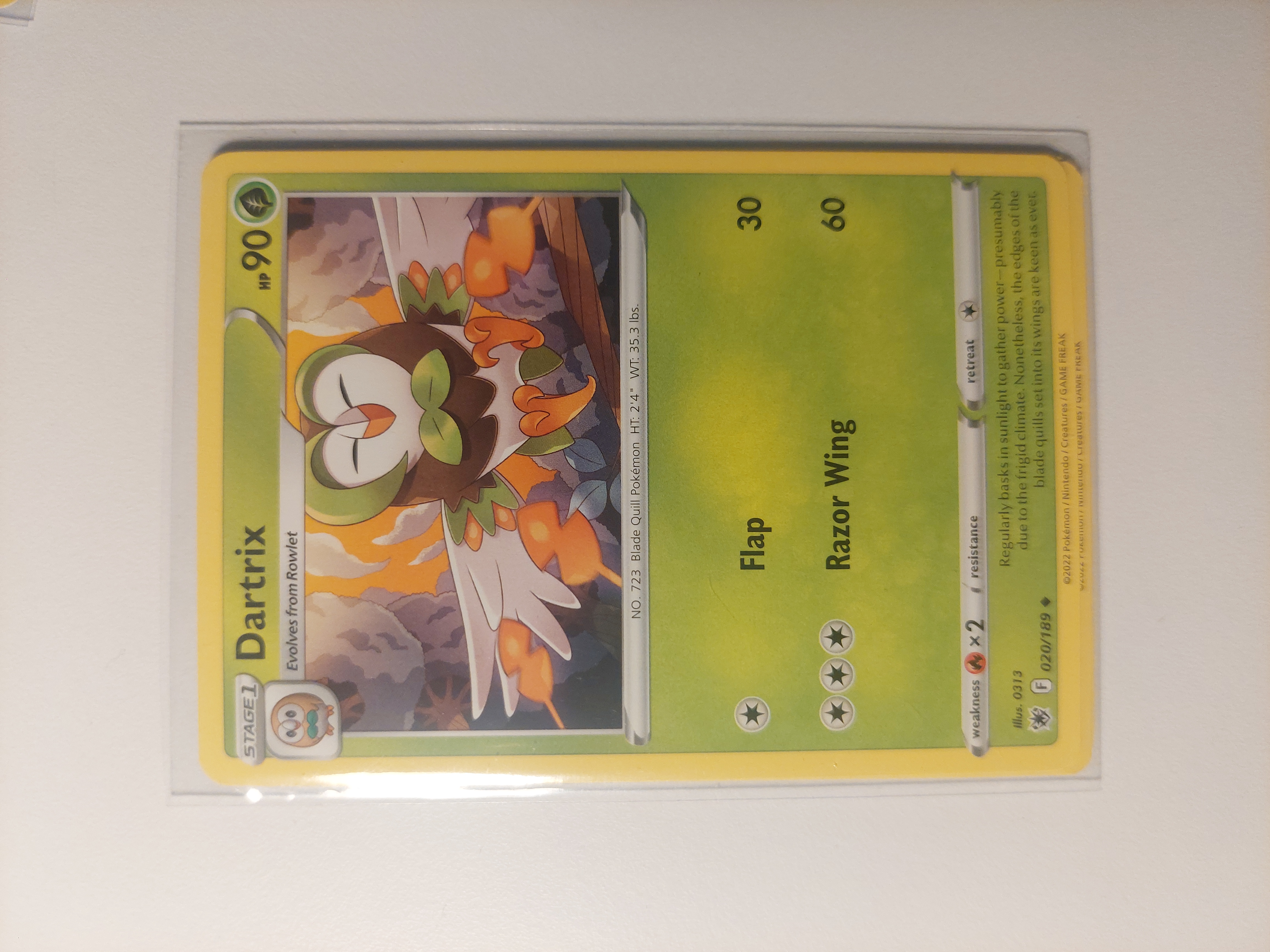Dartrix - PokeHall